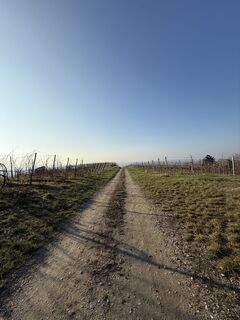Foto von Armin Von Falkenhayn entlang der Tour