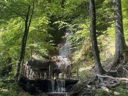 Fotografie z Lili10 na trase
