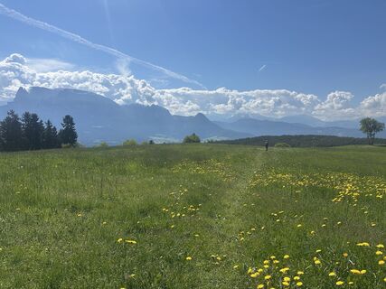 Photo de AB le long du parcours