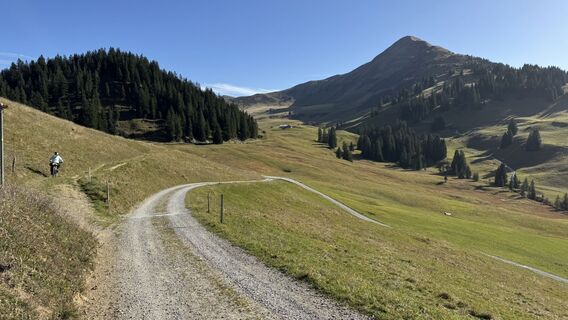 Fotografia z peter_oe na trase