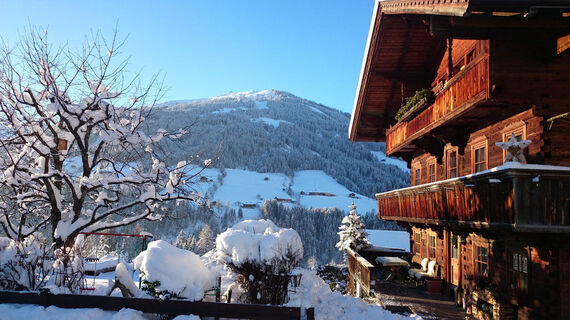Fürstenhäusl Alpbach