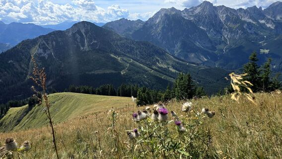 Fotografija s spletne strani Veronika Strauss na poti