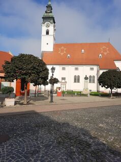 Fotografia z Heinz 68 na trase