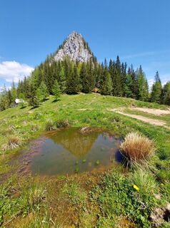 Photo de Neža Veber le long du parcours