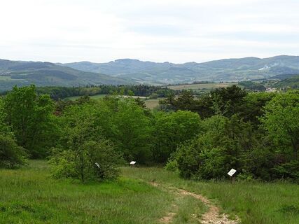ADT_003402