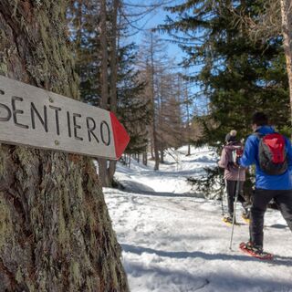 Cioss Prato, Bedrettotal