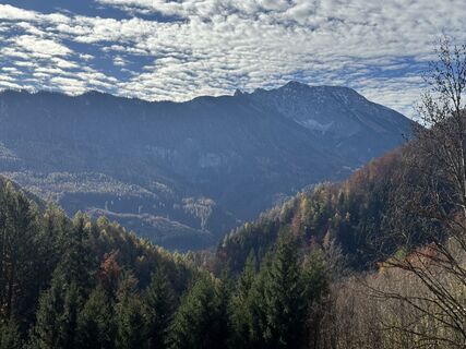 Fotografia z Firma Pool1 Hackl Roman na trase