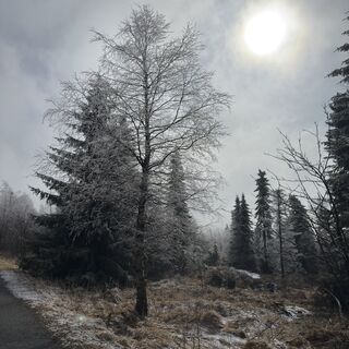 Fotografia z Steffen Kiesel na trase