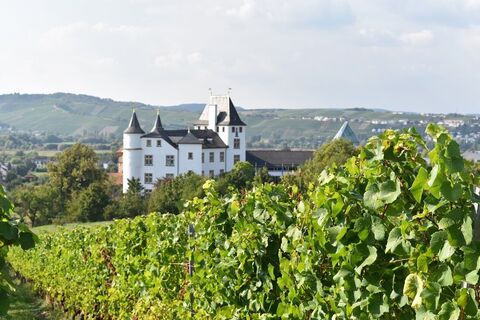 Blick auf Schloss Berg
