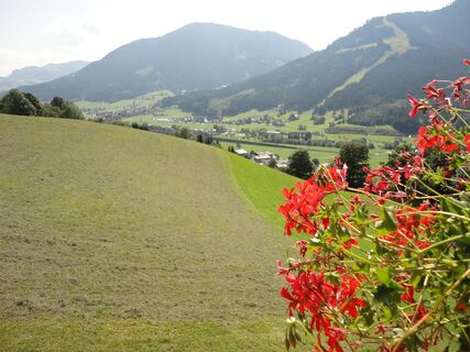 Ferienwohnungen Unterguggenhausen