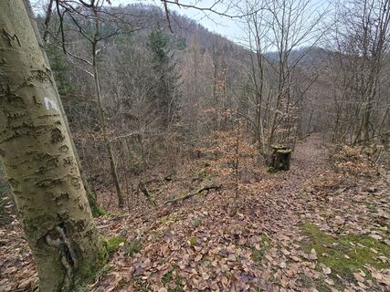Foto von Sigrid Böhm entlang der Tour