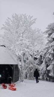 Foto von Katja Senkel entlang der Tour