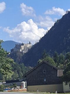 Foto von Mangolein entlang der Tour