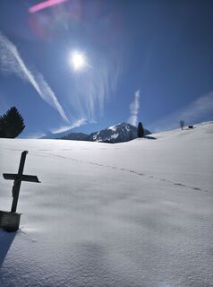 Foto von El Capo entlang der Tour