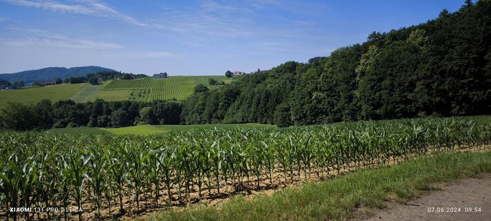 Fotografia z Karl-Heinz na trase