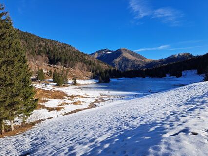 Fotografia z Walter Köllner na trase