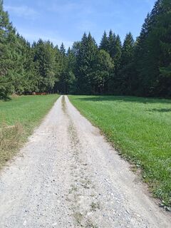Foto de Stubningmatthias a lo largo del recorrido