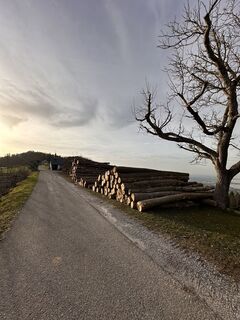 Foto von Cyrill Bischof entlang der Tour