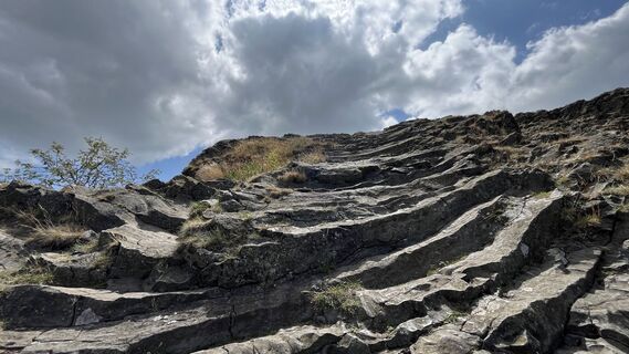 Foto von Siggi unterwegs entlang der Tour