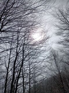 Foto de Raffaella Laghetto a lo largo del recorrido