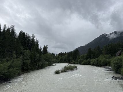 Foto von Grizzli entlang der Tour