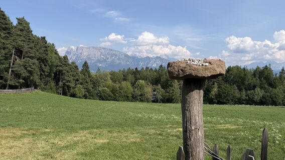 Foto von Wolfgang Burger 3 entlang der Tour