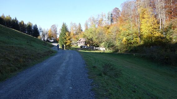 Aufstieg bei der Lilienfelder Hütte