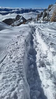 Foto da Aga M lungo il tour