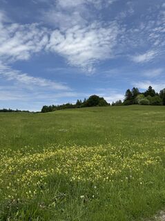 Foto von Denise Miller entlang der Tour