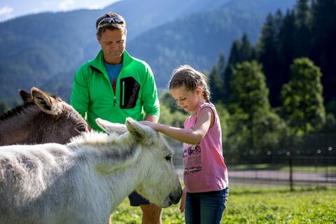 Ferienhotel Gasthof zur Post