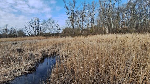 Foto von Regina Fleischmann entlang der Tour