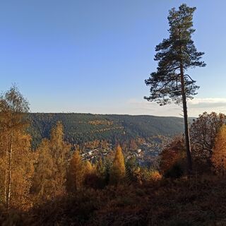 Herbstlicher Blick auf Bad Wildbad