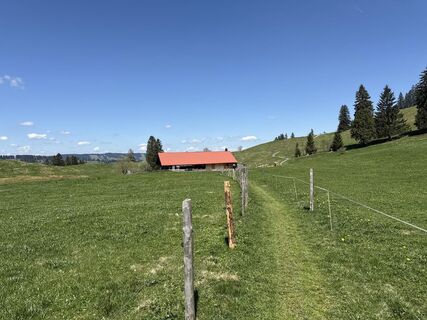 Foto von Similaun entlang der Tour