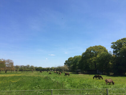 Donken- und Kendellandschaft