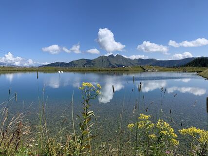 Fotografie z Koen De Wit na trase