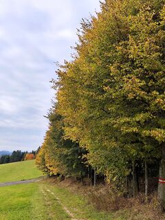 Fotografia z Edith K. na trase