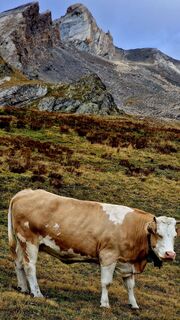 Foto von Fabrizi Mellano entlang der Tour