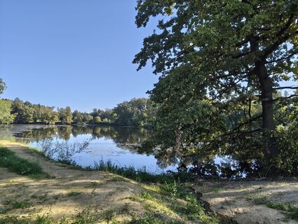 Photo de M le long du parcours