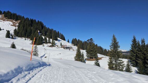 Foto von Marlyse Leu entlang der Tour