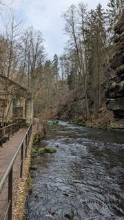 Fotografia z hochlandfamilie na trase