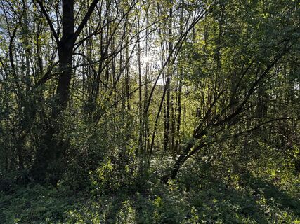 Photo de Schaali le long du parcours