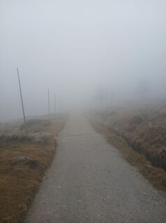 Photo de Daniel Kremiec le long du parcours