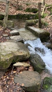 Fotografija s spletne strani outdoor_rue na poti