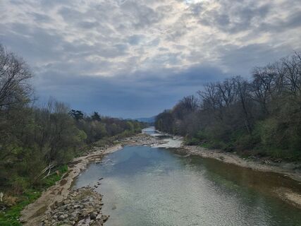 Foto de Grizli a lo largo del recorrido