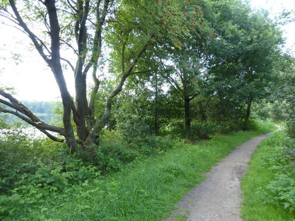Beim Oyter See