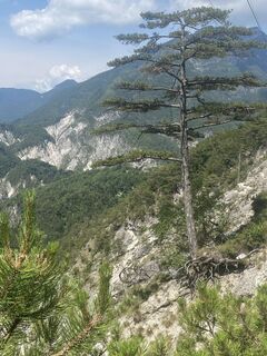 Foto von Gianberto Zilli entlang der Tour