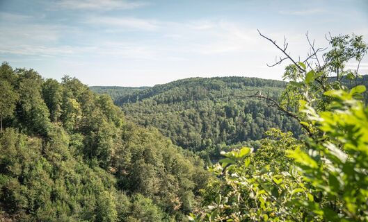 Aussicht Zupferfelsen