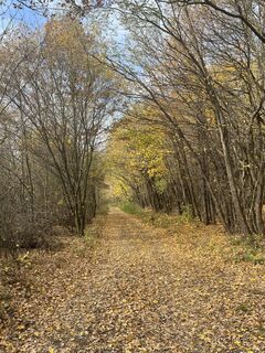 Fotografia z Vicaliza na trase