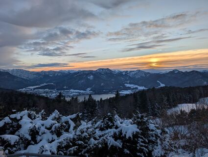 Fotografia z Floppy 1 na trase