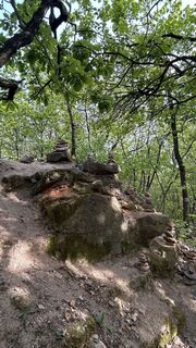 Foto de Kosikheni a lo largo del recorrido